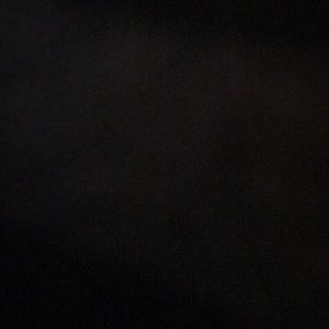 Meet your Posher, Gavin